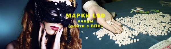 ГАЛЛЮЦИНОГЕННЫЕ ГРИБЫ Белоозёрский