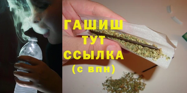 индика Баксан