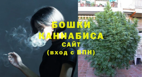 ГАЛЛЮЦИНОГЕННЫЕ ГРИБЫ Белоозёрский