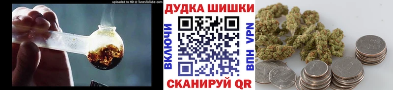 Марихуана план  Колпашево 